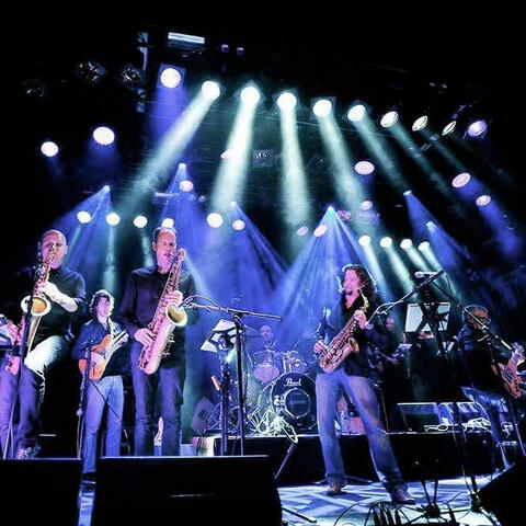 Arjan Muusz The Royal Dutch Scam